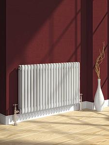 Reina Colona 500 X 785 17 Section 4 Column Radiator